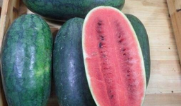 52热门吃瓜爆料黑料,揭秘娱乐圈黑料风云