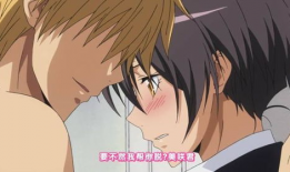 学生会长动漫,青春梦想的交织之旅