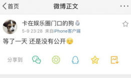 718爆料网吃瓜爆料大全网站,揭秘娱乐圈幕后真相，吃瓜爆料大全